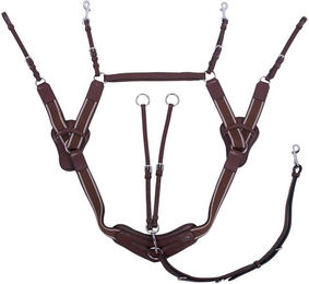 Produktbild von QHP Vorderzeug Sedna Leder mit Gelpads