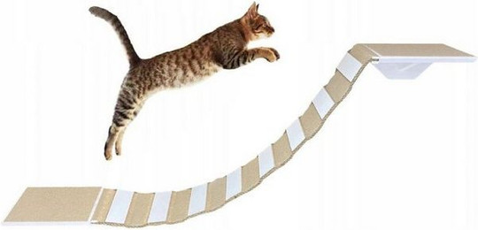Produktbild von QLS Katzenbrücke mit 2 Katzenliegen Set 130 cm rutschfest Wandbefestigung aus Holz
