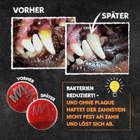 Produktbild von QChefs Puffed Cheese Hüttenkäse-Cracker Zahnpflege-Snack für Hunde getreidefrei und laktosefrei 75g - 75 g
