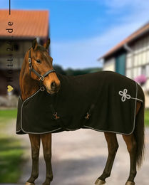 Produktbild von QHP Abschwitzdecke mit Ornament in Schwarz und Silber