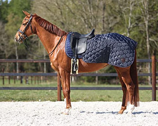 Produktbild von QHP Ausreitdecke Nierendecke Quarter Classy mit Kunstfellfutter Navy Blau Größe S