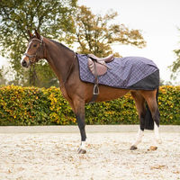 Produktbild von QHP Ausreitdecke Turnout Collection Fleece Bouncing Bows Größe XL
