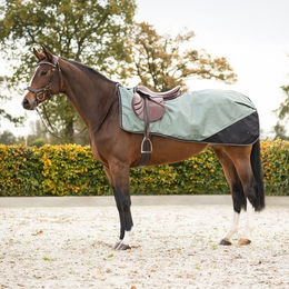 QHP Ausreitdecke Turnout Collection Fleece Lineair Motion Größe M 1200D – Bild 1 von 1