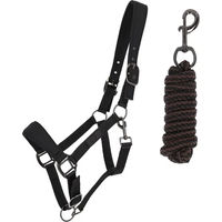 Produktbild von QHP Avenna Set aus Halfter und Longiergurt für Pferde