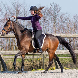 QHP Bareback Pad Reitpad für Ponys in Blau – Bild 1 von 4
