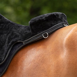 QHP Bareback Pad Super Soft Reitunterlage für Shetty in Schwarz – Bild 1 von 7