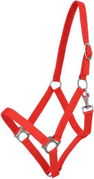 QHP Basic Nylonhalfter für Ponys in Rot – Bild 1 von 1