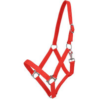 Produktbild von QHP Basic Nylonhalfter für Shetlandponys in Rot