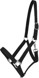 QHP Basic Nylonhalfter Schwarz – Bild 1 von 1