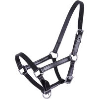 Produktbild von QHP Chico Lederhalfter für Fohlen aus Leder in Schwarz, Beige oder Weiß