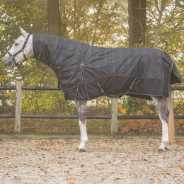 QHP Collection Turnoutdecke für Pferde mit abnehmbarem Hals in Schwarz – Bild 1 von 10