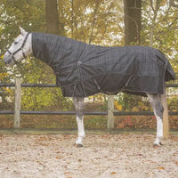 Produktbild von QHP Collection Turnoutdecke für Pferde mit abnehmbarem Hals in Schwarz