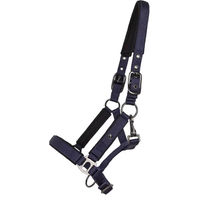 Produktbild von QHP Deluxe Fohlen Halfter aus Nylon in Schwarz oder Blau