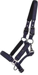 QHP Deluxe Fohlen Halfter aus Nylon in Schwarz oder Blau – Bild 1 von 2