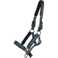 Produktbild von QHP Deluxe Fohlen Halfter aus Nylon in Schwarz oder Grün