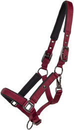 QHP Deluxe Fohlen Halfter aus Nylon in Schwarz und Rot – Bild 1 von 2