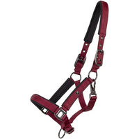 Produktbild von QHP Deluxe Fohlen Halfter aus Nylon in Schwarz und Rot