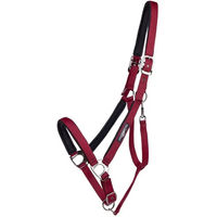 Produktbild von QHP Deluxe Halfter für Zugpferde aus Kunststoff in Schwarz oder Rot