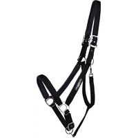 Produktbild von QHP Deluxe Halfter für Zugpferde aus Polyester Schwarz XXFull