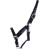 Produktbild von QHP Doppelhalfter aus Nylon in Schwarz