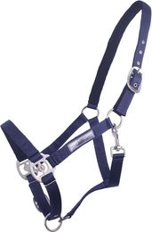 Produktbild von QHP Doppelhalfter für Ponys aus Nylon in Blau