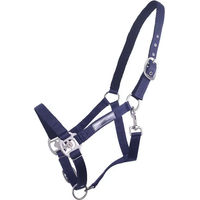 Produktbild von QHP Doppelhalfter für Ponys aus Nylon in Blau