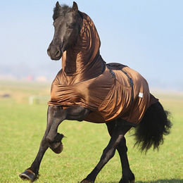 QHP Ekzemdecke Big Neck für Pferde Braun 145 cm – Bild 1 von 6