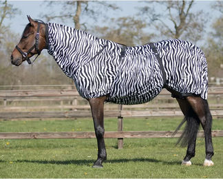 QHP Ekzemdecke für Pferde mit Hals und abnehmbarem Bauchlatz Zebra 115 cm – Bild 1 von 11