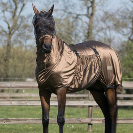 QHP Ekzemdecke für Pferde mit Hals und abnehmbarem Bauchlatz Zebra Größe 75 – Bild 1 von 7