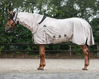 QHP Ekzemdecke Hoodie mit Halsteil und Bauchlatz für Pferde Beige 115 cm – Bild 1 von 4