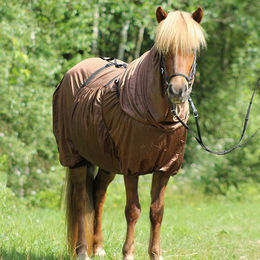 QHP Ekzemdecke Icelandic für Islandpferde mit Halsteil und großem Bauchlatz Braun Größe 125 – Bild 1 von 4