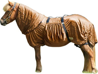 QHP Ekzemdecke Icelandic für Pferde mit Halsteil und großem Bauchlatz Braun – Bild 1 von 4