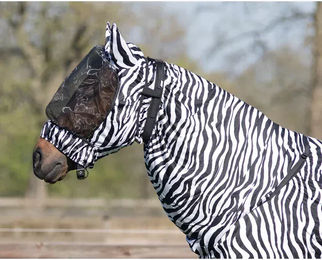 QHP Ekzemermaske mit Ohrenschutz für Pferde in XS Zebra-Design – Bild 1 von 4