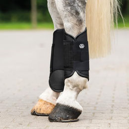 QHP Eventing Hinterbein-Gamaschen Technical Schwarz XL – Bild 1 von 5