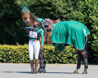 QHP Eventing Hinterbeingamaschen Technical Schwarz M – Bild 1 von 5
