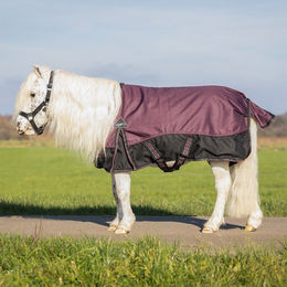 Produktbild von QHP Falabella Pony Turnout Decke 1200D Collection aus Polyester