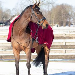 QHP Fleece-Ausreitdecke mit Ornament in Grau Silber XL – Bild 1 von 13