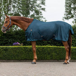 Produktbild von QHP Fliegendecke Basic Blau aus Polyester