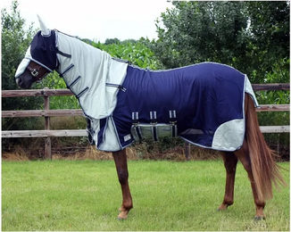 QHP Fliegendecke für Pferde mit Halsabdeckung und Haube aus Polyester in Blau 145 cm – Bild 1 von 9