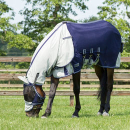 QHP Fliegendecke für Pferde mit Halsabdeckung und Haube in Blau 155 cm – Bild 1 von 9