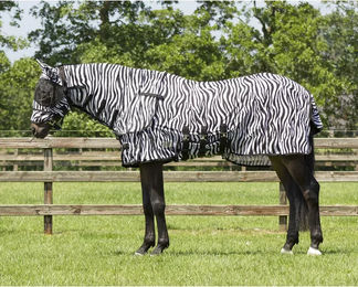 QHP Fliegendecke für Pferde mit Halsabdeckung und Haube in Zebra Optik 115 cm – Bild 1 von 8