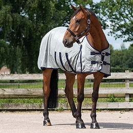 QHP Fliegendecke für Pferde mit Halsteil und Haube in Grau 115 cm – Bild 1 von 6