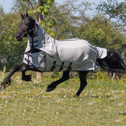 QHP Fliegendecke mit Hals und Haube aus Polyester in XL – Bild 1 von 4