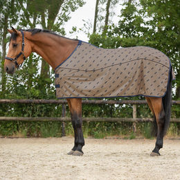 Produktbild von QHP Fliegendecke Summer Focus für Pferde in Beige aus Polyester