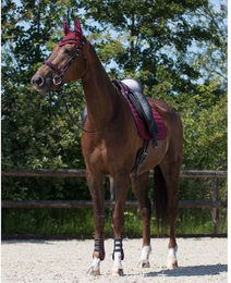 QHP Fliegenhaube Florence für Ponys in Navy Blau gehäkelt mit Elastan-Ohren – Bild 1 von 4