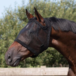 QHP Fliegenmaske für Pferde ohne Ohrenschutz Grau Shetty – Bild 1 von 4