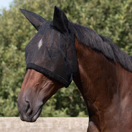 QHP Fliegenmaske mit Ohrenschutz für Ponys in Schwarz – Bild 1 von 3