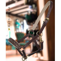 Produktbild von QHP Fohlen Halfter aus Leder in Braun