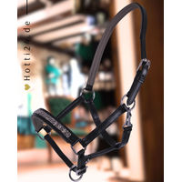 Produktbild von QHP Fohlen Halfter aus Leder Lupine Grau