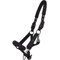 Produktbild von QHP Fohlen Halfter Deluxe aus Nylon in Schwarz